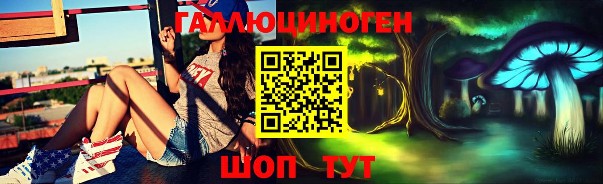 Псилоцибиновые грибы Psilocybe  Псилоцибиновые грибы прущие грибы  Асбест  Вход с VPN 